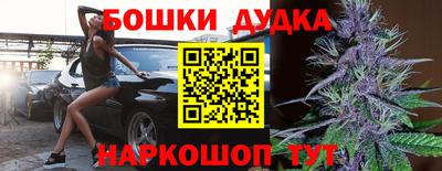 индика Боровичи