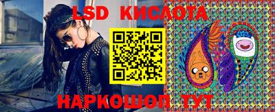 индика Боровичи