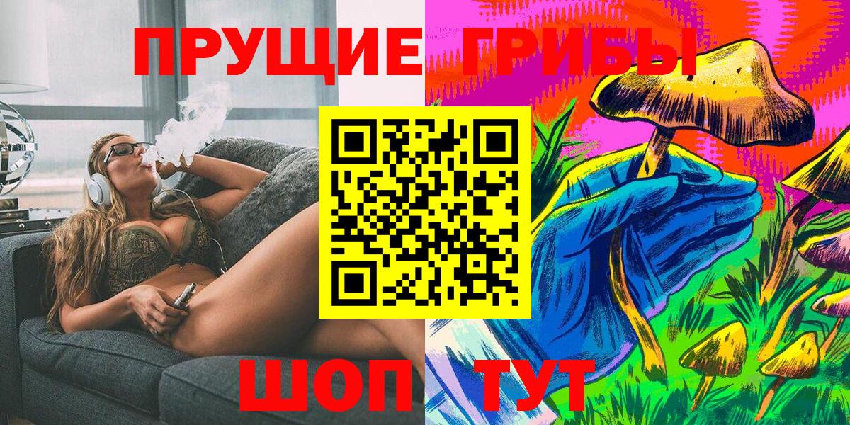 Галлюциногенные грибы Psilocybine cubensis Сызрань
